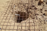 Wire covers the opening of an underground tunnel discovered in Gaza.