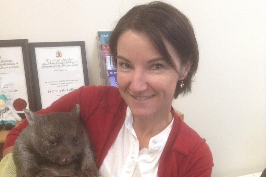 Rachel Wake holds a wombat
