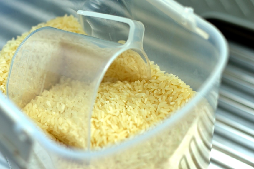 A container of uncooked rice with a measuring jug left inside, it may be washed before it's cooked.
