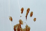 A bloody handprint, dripping, against a white/grey background/