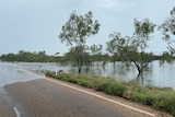 Water over the road on the Great Northern Highway, trees in the foreround are also half underwater.