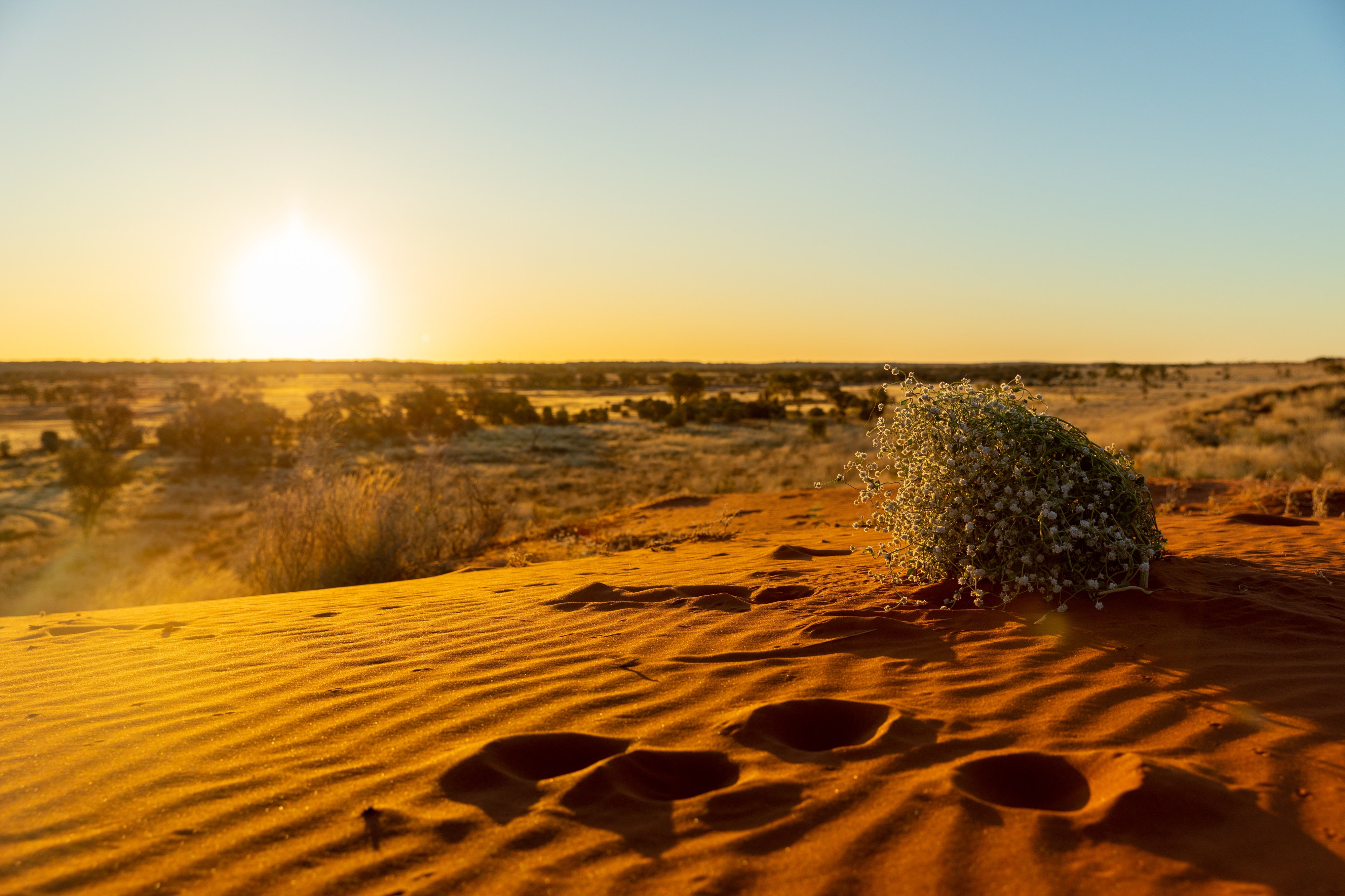 Mining prohibited 'in perpetuity' from culturally significant reserve