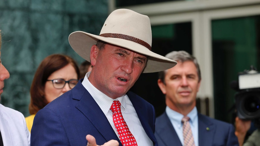 Barnaby Joyce appears to give a thumbs up while wearing an akubra outside Parliament House
