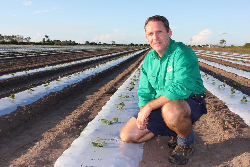 Chris Monsour sits in a paddock planted with seeds.