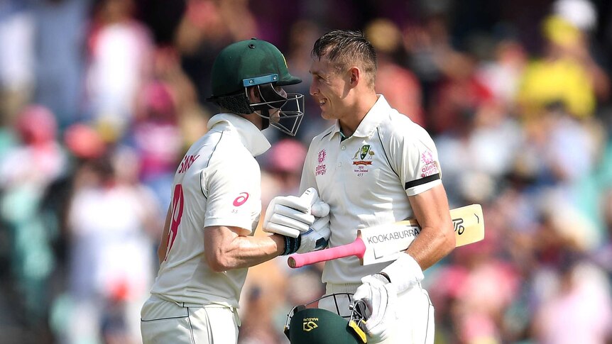 Two Australian cricketers share a handshake to celebrate a century.
