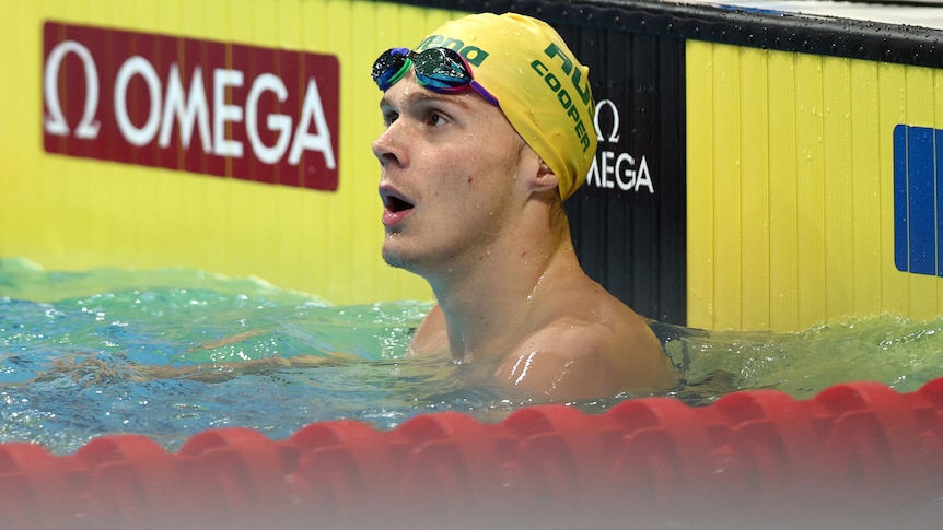 A swimmer in the water next to the lane rope looks up at the scoreboard after a race at the world titles.