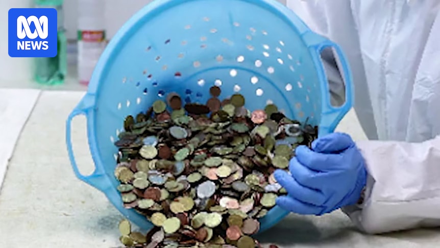 What happens to the Trevi Fountain coins? ABC News What happens to the Trevi Fountain coins? ABC News