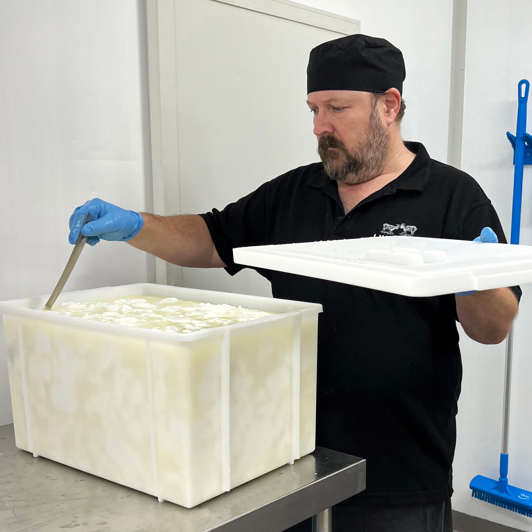 Man wearing food safety gloves and hat stirs a vat of cheese.