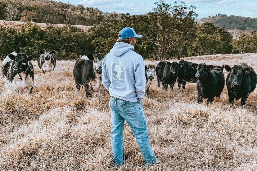 A young man stands with his back turned looking at his black angus cattle