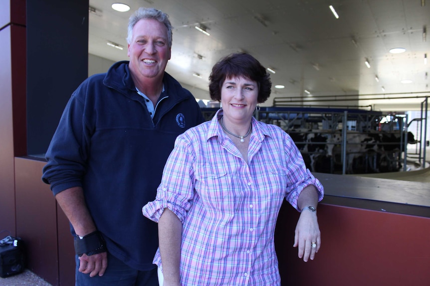 A man and woman smile as they lean on a viewing window looking into a a dairy filled with cows.