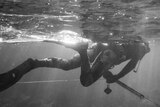 A black-and-white shot of a spearfisher swimming just below the surface of the ocean.