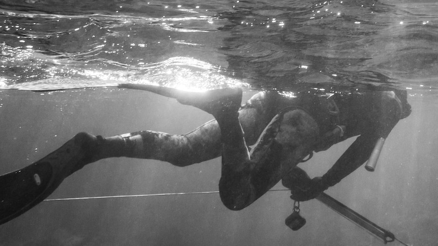 A black-and-white shot of a spearfisher swimming just below the surface of the ocean.