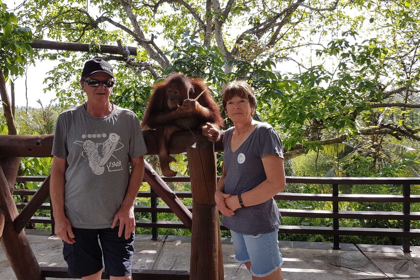 A couple stand near an orangutan.