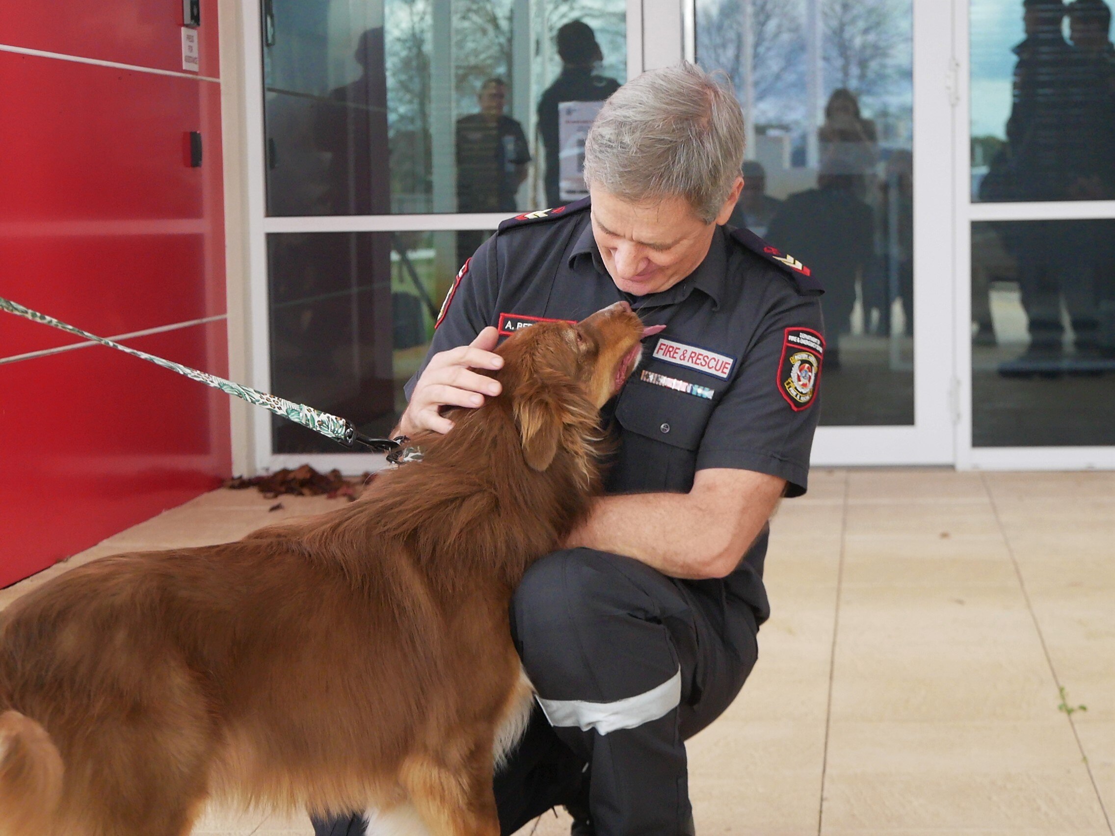 Are Dogs Safe Around Sage