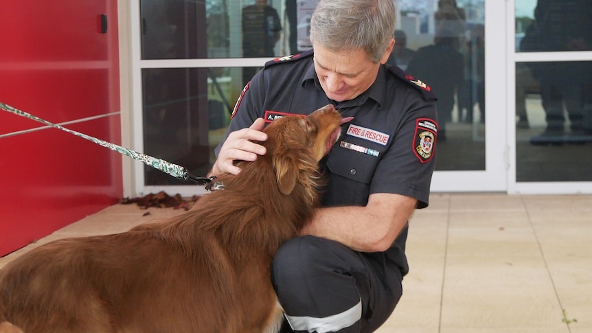 A firefighter in uniform kneels down and pats a brown dog. 