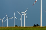 A row of wind turbines in a field