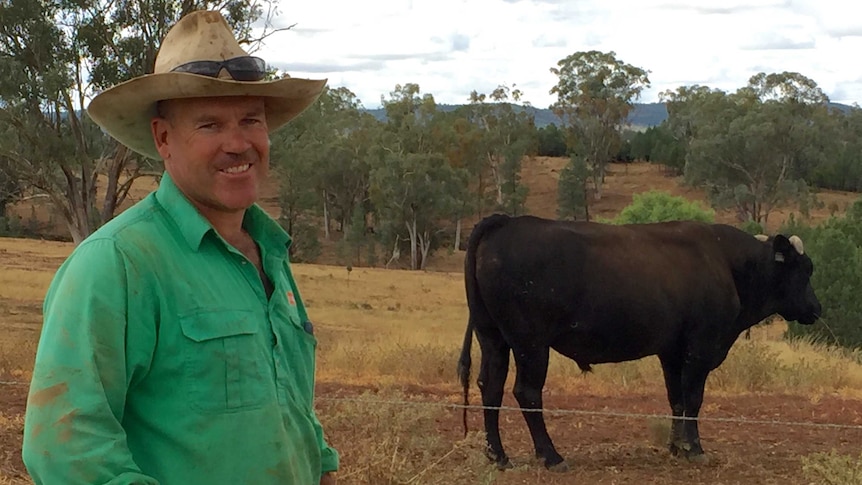 Jason Lewis, Jac Wagyu, stands with one of his Wagyu bulls