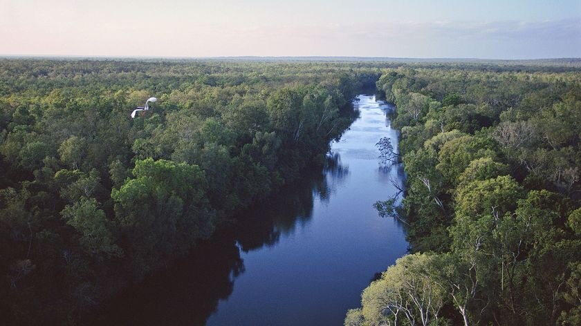 Photo of Wenlock River catchment in Queensland's Cape york region.