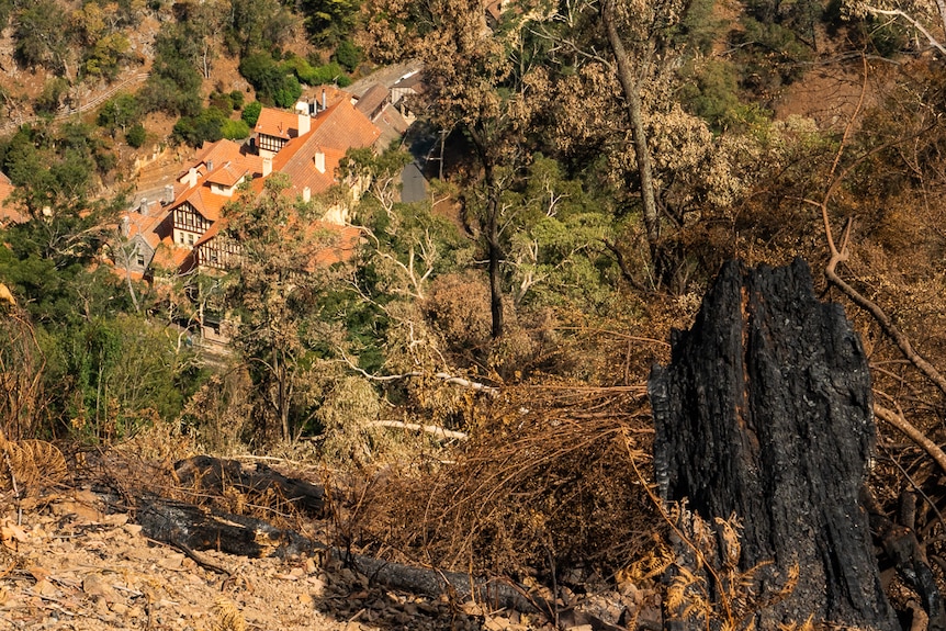 Burnt bushland around the Jenolan Caves House.