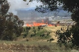 Pallet fire at Pialligo in Canberra's east.