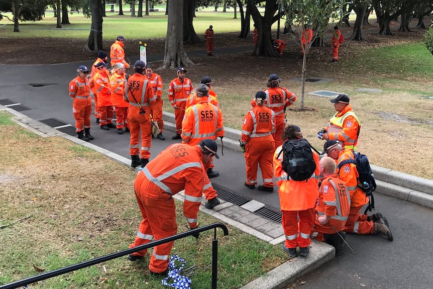 SES members preparing to search Fawkner Park.