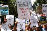 About 400 people have gathered in Sydney in support of Mr Assange.