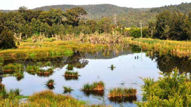 Pambalong Nature Reserve, with the Richmond Vale rail trail on the right.