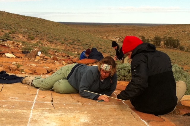 Professor Mary Droser studying Ediacara fossils at Nilpena Station in 2013.