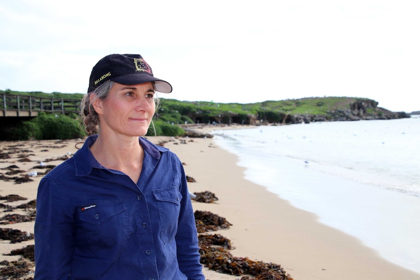 Dr Cannell stands looking out to sea, with Penguin Island in the background.