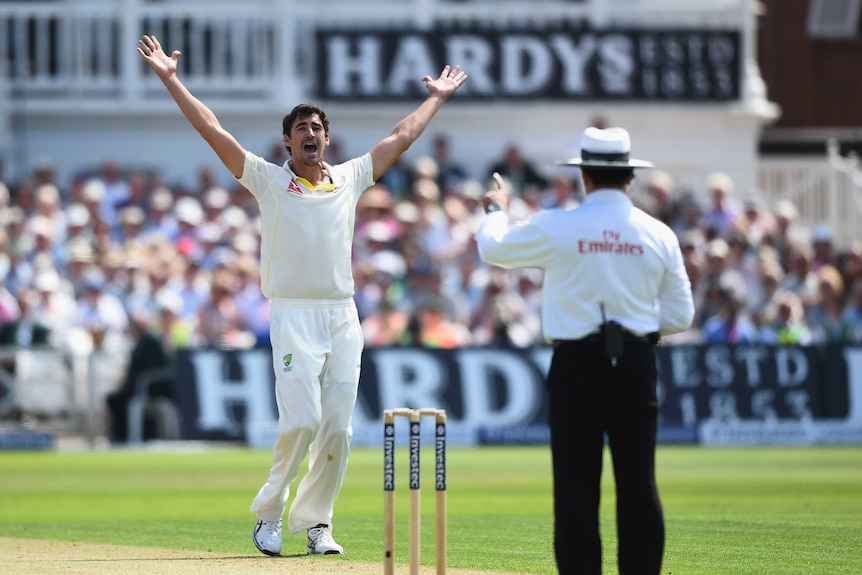 Australia's Mitchell Starc appeals successfully for the wicket of Ian Bell at Trent Bridge.