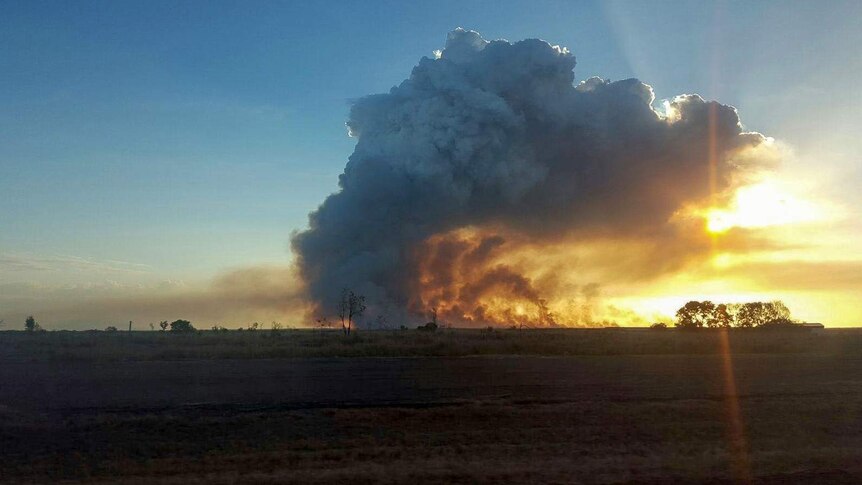 Pyrocumulus cloud: How fires can create their own weather systems - ABC News