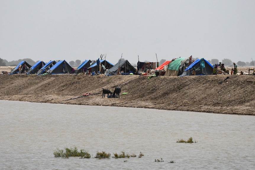 Tents along an embankment. 