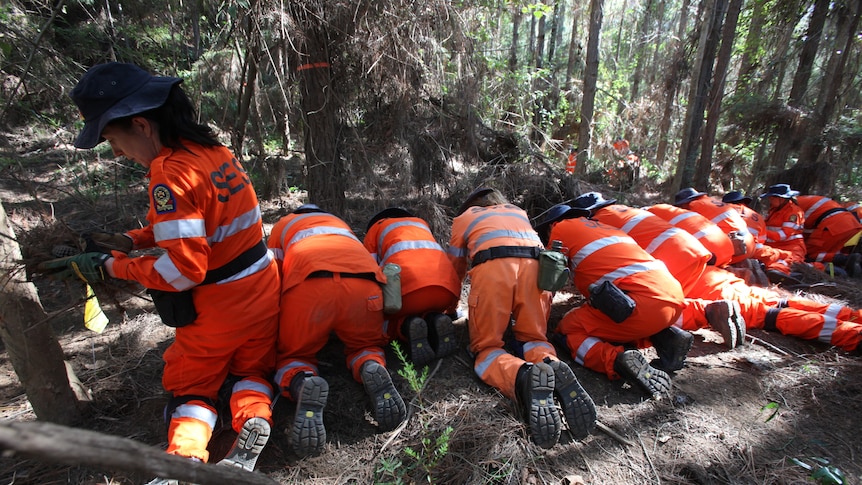 SES crew members search for Daniel Morcombe's remains in bushland at Beerwah on Queensland's Sunshine Coast.