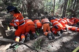 SES crew members search for Daniel Morcombe's remains in bushland at Beerwah on Queensland's Sunshine Coast.
