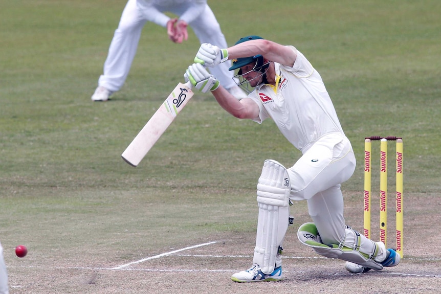 Cameron Bancroft drives through cover