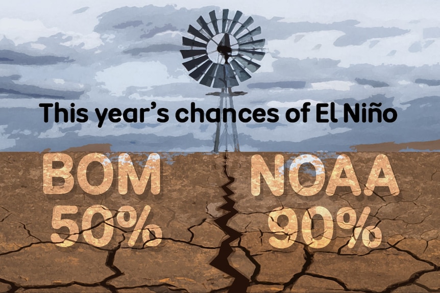 A graphic showing BoM and NOAA odds of El Nino