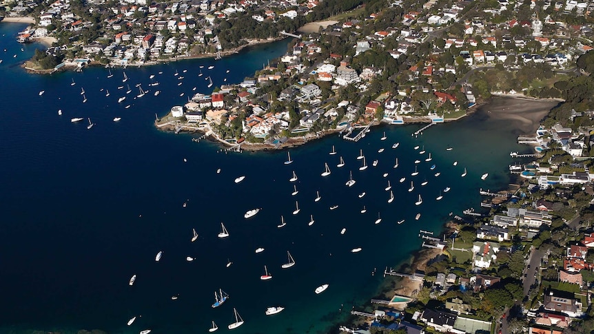 boats dot a harbour bay surrounded by large houses