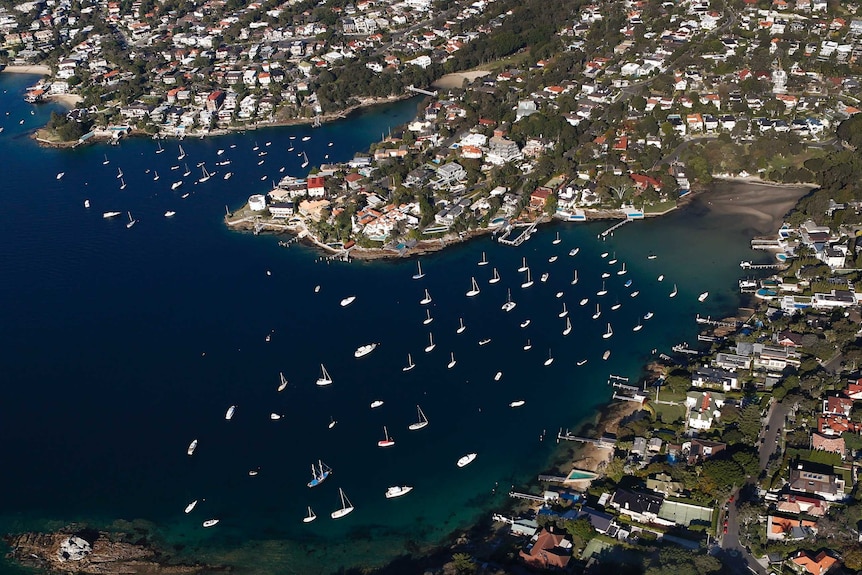 boats dot a harbour bay surrounded by large houses