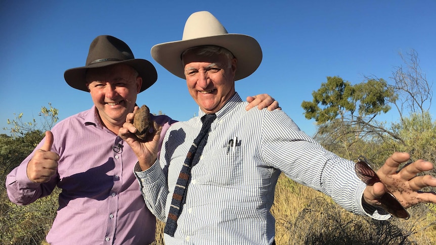 Anthony Albanese and Bob Katter are an unlikely pair of mates, who have headed north to tackle energy problems.