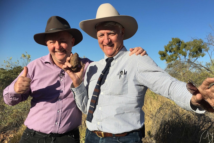 Anthony Albanese and Bob Katter pose for a photo, arm in arm.