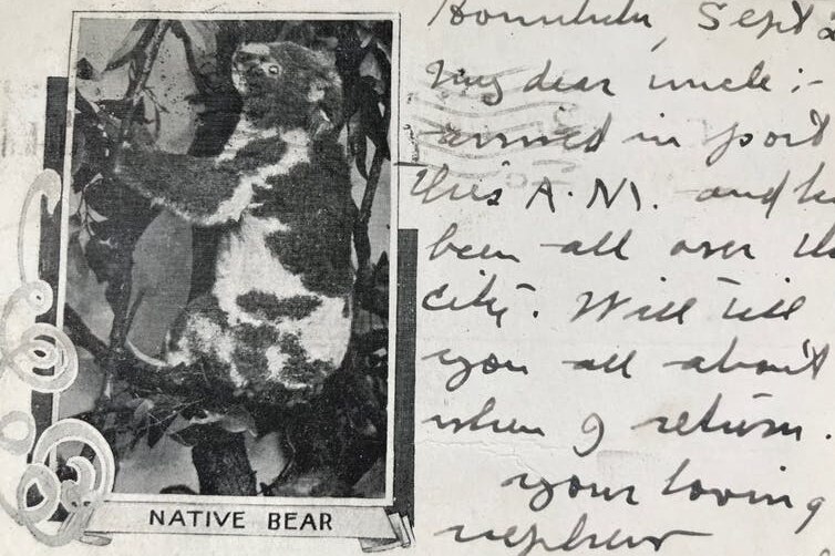 A 1903 postcard featuring a "native bear".
