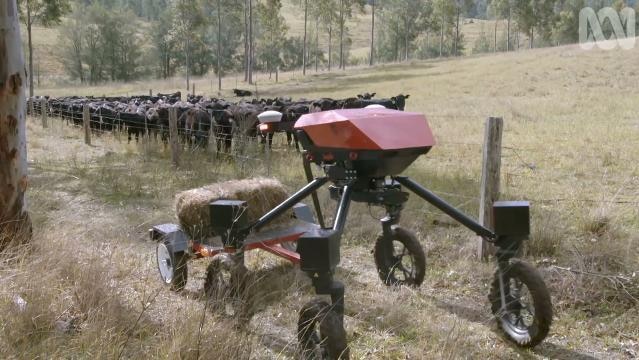 A robotic vehicle beside a paddock of cattle