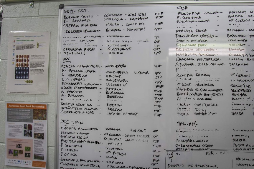 White board filled with names and numbers.