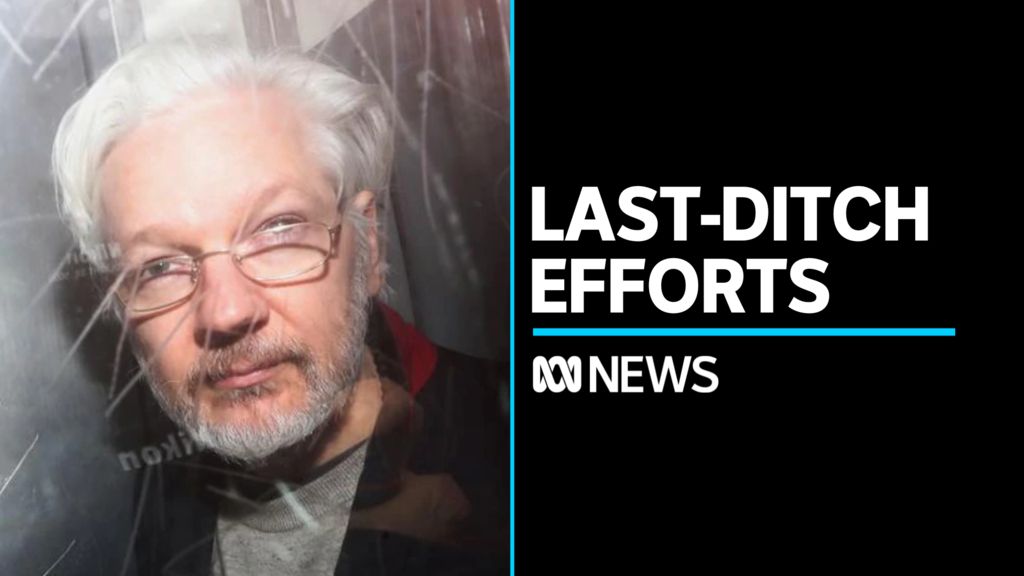 Last-ditch Efforts: Julian Assang behind a vehicle window