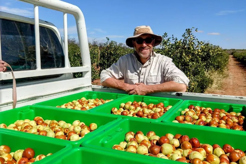 A white man wearing a beige cotton shirt, sunglasses and bucket hat stands behind a ute tray full of jujubes