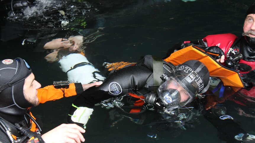 Two divers pull a victim with an imaginary injury out of the water