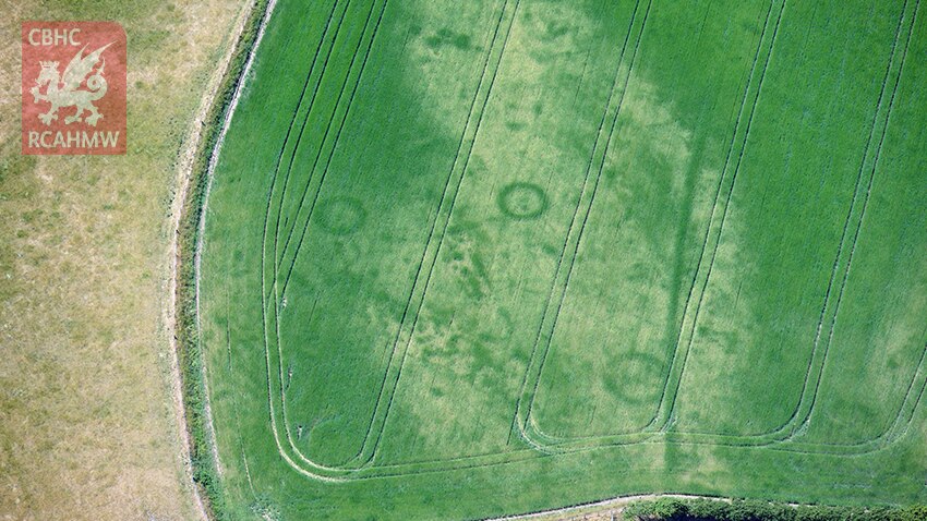 Cropmarks of a large Bronze Age barrow cemetery on the Llyn Reninsula, Gwynedd.