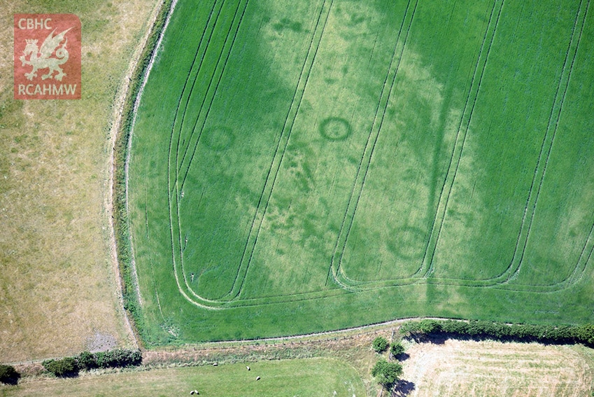 Cropmarks of a large Bronze Age barrow cemetery on the Llyn Reninsula, Gwynedd.