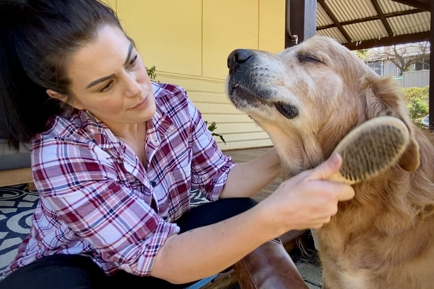 A woman brushing her dog.