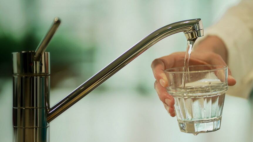 a close-up of a person holding a glass under a running tap, filling it with water
